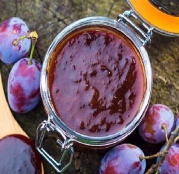 Sloe jam recipes for the winter with and without seeds