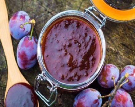 Sloe jam recipes for the winter with and without seeds