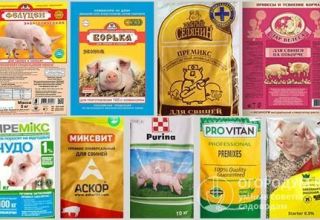 Pros and cons of pig premixes, composition and top producers