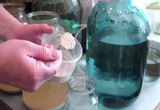 Instructions pour clarifier le vin avec de la bentonite à la maison