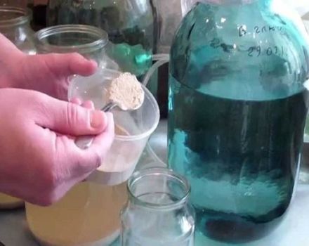 Instructions on how to clarify wine with bentonite at home