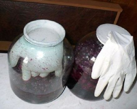 Reasons and what to do if a glove on homemade wine is pulled inside