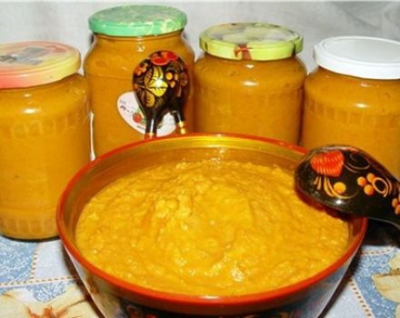 Recetas de caviar de calabaza con mayonesa para el invierno como en una tienda te lamerás los dedos