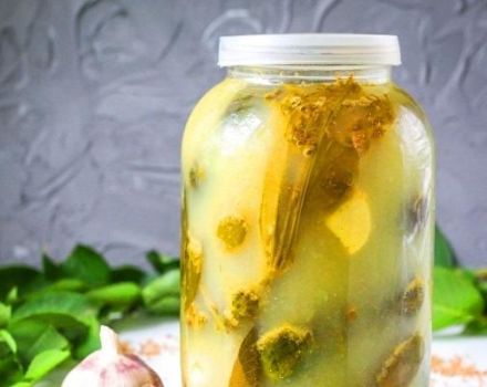 Una receta paso a paso de pepinos encurtidos con mostaza para el invierno en frascos.