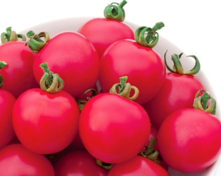 Caractéristiques et description de la variété de tomate Pink Impression, sa productivité