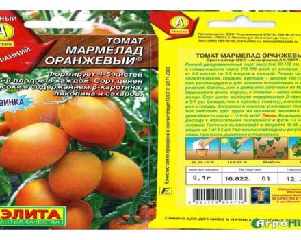 Description and characteristics of tomato varieties Orange marmalade