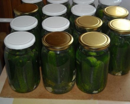 Simple recipes for cucumbers with cinnamon for the winter without sterilization in jars