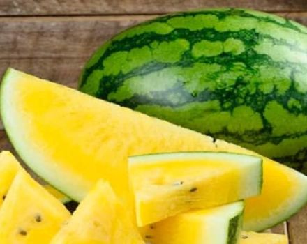 Are there watermelons with yellow flesh inside, what is the name of the variety and the characteristics of cultivation