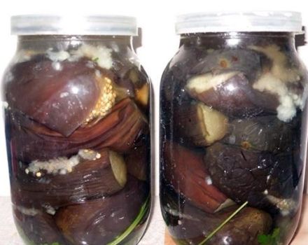 TOP 3 recetas paso a paso de berenjenas en escabeche enteras para el invierno