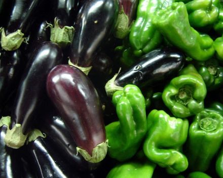 Est-il possible de planter des aubergines et des poivrons dans la même serre ou en plein champ