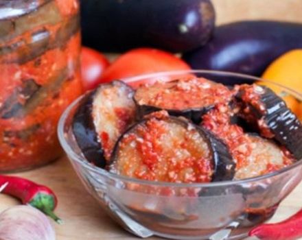 11 meilleures recettes étape par étape pour faire de l'aubergine Spark pour l'hiver