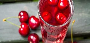 11 recettes étape par étape pour faire des préparations de cerises pour l'hiver