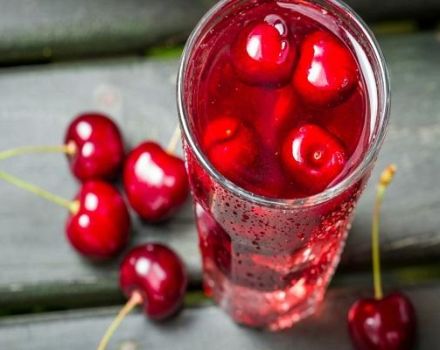 11 recetas paso a paso para hacer preparaciones de cerezas para el invierno