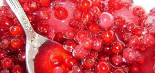 TOP 3 recipes for making red currant jam for the winter without cooking