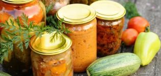 TOP 5 delicious recipes for spicy zucchini for the winter at home