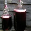 TOP 6 des recettes pour faire du vin à partir de jus de raisin et comment le faire à la maison