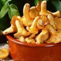 Comment bien sécher les chanterelles pour l'hiver, est-ce possible