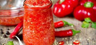 11 resipi terbaik untuk memasak adjika tomato untuk musim sejuk di rumah