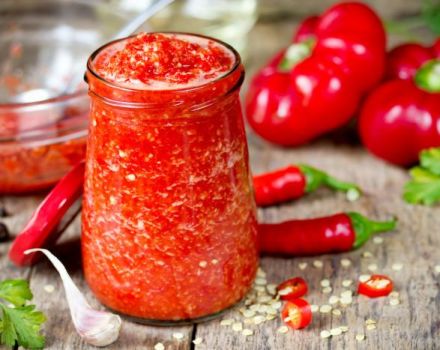 11 mejores recetas para cocinar adjika de tomate para el invierno en casa