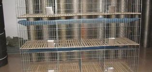 Types et règles de fabrication de cages en treillis bricolage pour lapins