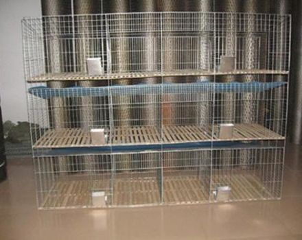 Types and rules for making DIY mesh cages for rabbits