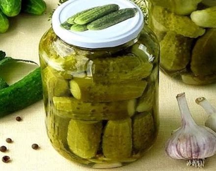 5 mejores recetas de pepino en escabeche sin azúcar agregada