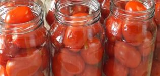 14 best recipes for cooking tomatoes for the winter at home