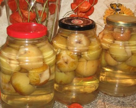 Receta paso a paso de compota de manzana con ácido cítrico para el invierno.