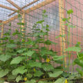 How to make a grid for cucumbers, their types and installation