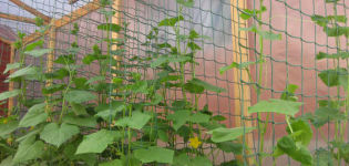 How to make a grid for cucumbers, their types and installation