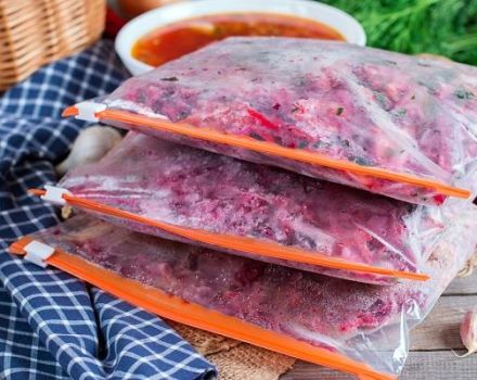 Resipi untuk membekukan borscht dengan bit untuk musim sejuk