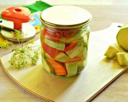 4 recettes de courgettes en conserve au poivre pour l'hiver à la maison