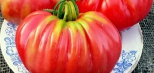 Descripción de la variedad de tomate Rosamarin libra, características de cultivo y productividad.