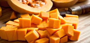 The best golden recipes for winter pumpkin preparations at home