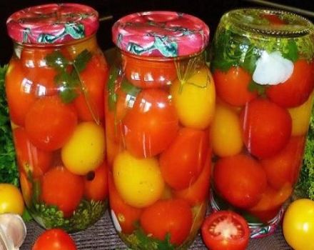 Resipi terbaik untuk tomato masin dengan cara yang panas untuk musim sejuk