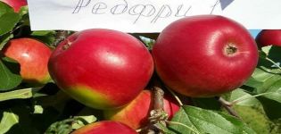 Description de la variété de pomme Red Free, avantages et inconvénients, régions favorables à la culture