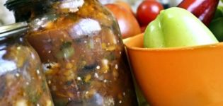 Eggplant bakat recipes for the winter