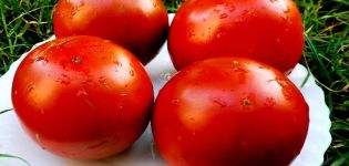 Characteristics and description of the tomato variety Paul Robson