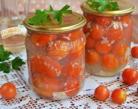 TOP 6 resipi lazat untuk tomato dalam tin dengan bawang putih untuk musim sejuk