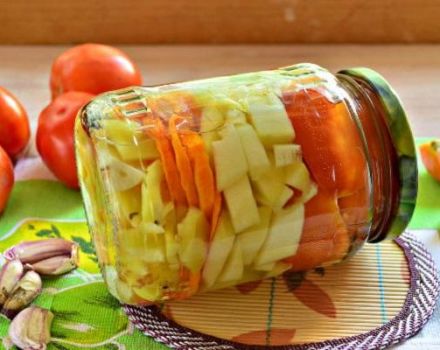 Recipes for preparing pickled zucchini with tomatoes for the winter