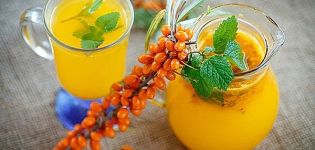 Ang isang simpleng recipe para sa paggawa ng sea buckthorn compote para sa taglamig