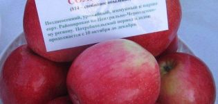 Description and characteristics of the Solnyshko apple tree, planting and care rules