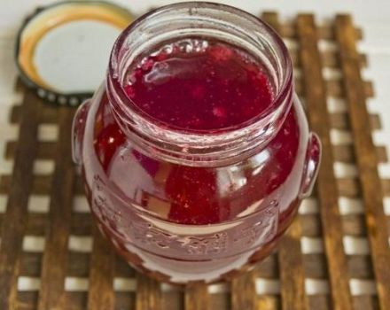 16 delicious recipes for making red currant jam for the winter