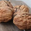 Cómo cultivar nueces en la región de Moscú, las mejores variedades, plantación y cuidado.