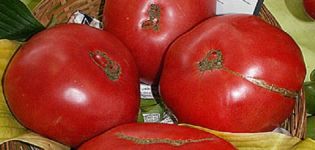 Description of the tomato variety Boyarynya F1, features of cultivation and care