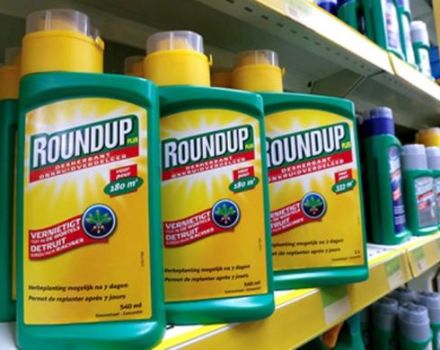 Instructions for the use of a continuous action herbicide Roundup against weeds and how to breed correctly