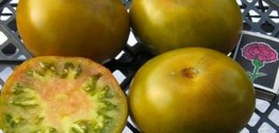 Características y descripción de la variedad de tomate Swamp, su rendimiento.