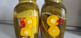 Una receta deliciosa para hacer calabaza en escabeche con pepinos para el invierno.