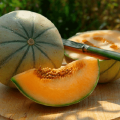 Beskrivelse af melonsorten Cantaloupe (Musk), dens typer og funktioner