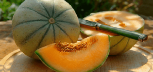 Penerangan mengenai pelbagai melon Cantaloupe (Musk), jenis dan ciri-cirinya